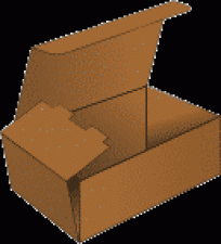 Carton Box Style