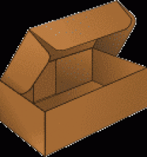 Carton Box Style