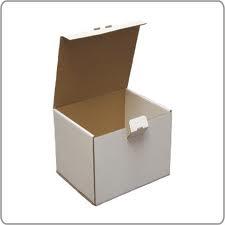 Carton Box Style